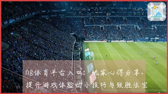 ng体育平台入口：玩家心得分享，提升游戏体验的小技巧与致胜法宝