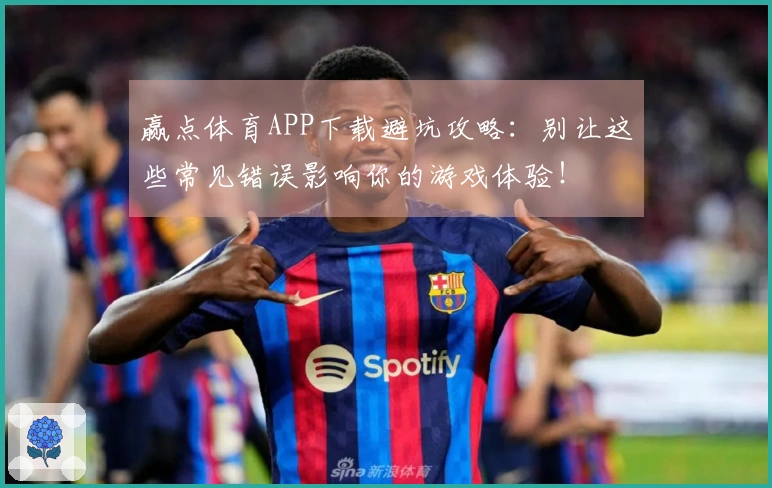 赢点体育APP下载避坑攻略：别让这些常见错误影响你的游戏体验！