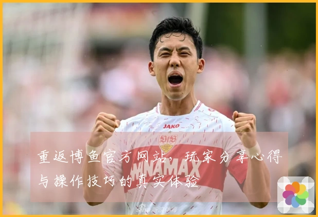 重返博鱼官方网站，玩家分享心得与操作技巧的真实体验