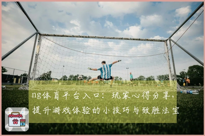 ng体育平台入口：玩家心得分享，提升游戏体验的小技巧与致胜法宝
