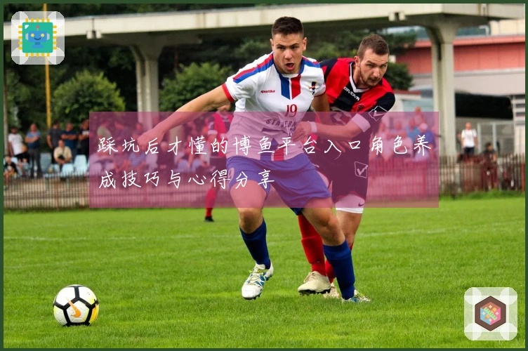 踩坑后才懂的博鱼平台入口角色养成技巧与心得分享