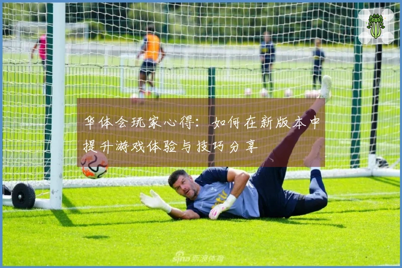 华体会玩家心得：如何在新版本中提升游戏体验与技巧分享